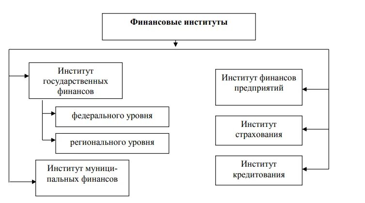 Система финансовых институтов схема. Финансовые институты схема. Финансовые институты РФ. Федеральные и муниципальные финансовые институты. Национальная финансовая группа