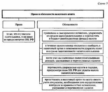 Ответственность налогоплательщика и налоговых органов