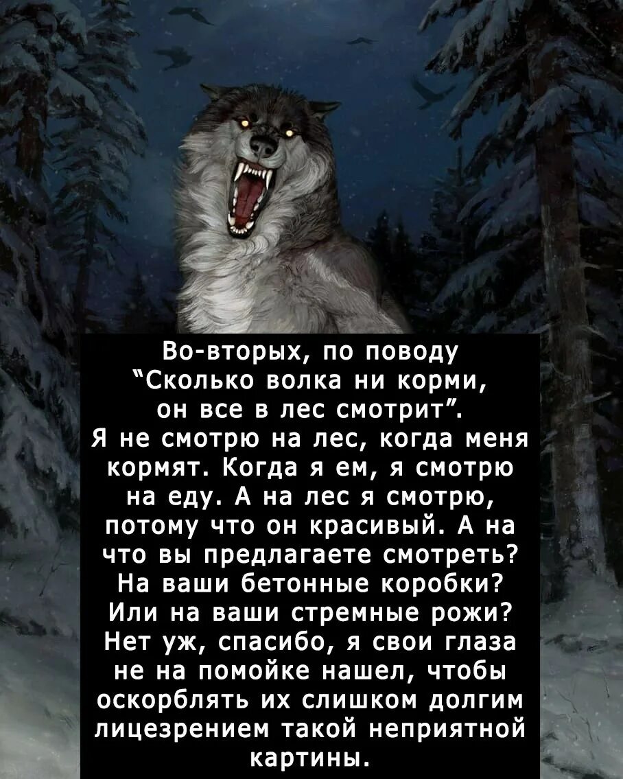 Волков всем выйти из кадра читать полностью. Поговорки про Волков. Шутки про Волков. Стишки про волка в лесу. Смешные стишки про волка.