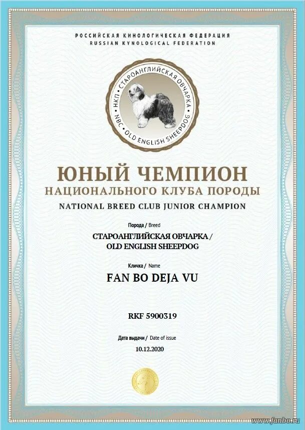 Ркф гранд чемпион россии. Выставочные титулы собак. Титулы юный чемпион россии, чемпион россии, чемпион ркф. Титул юный чемпион федерации. Титул юный чемпион.