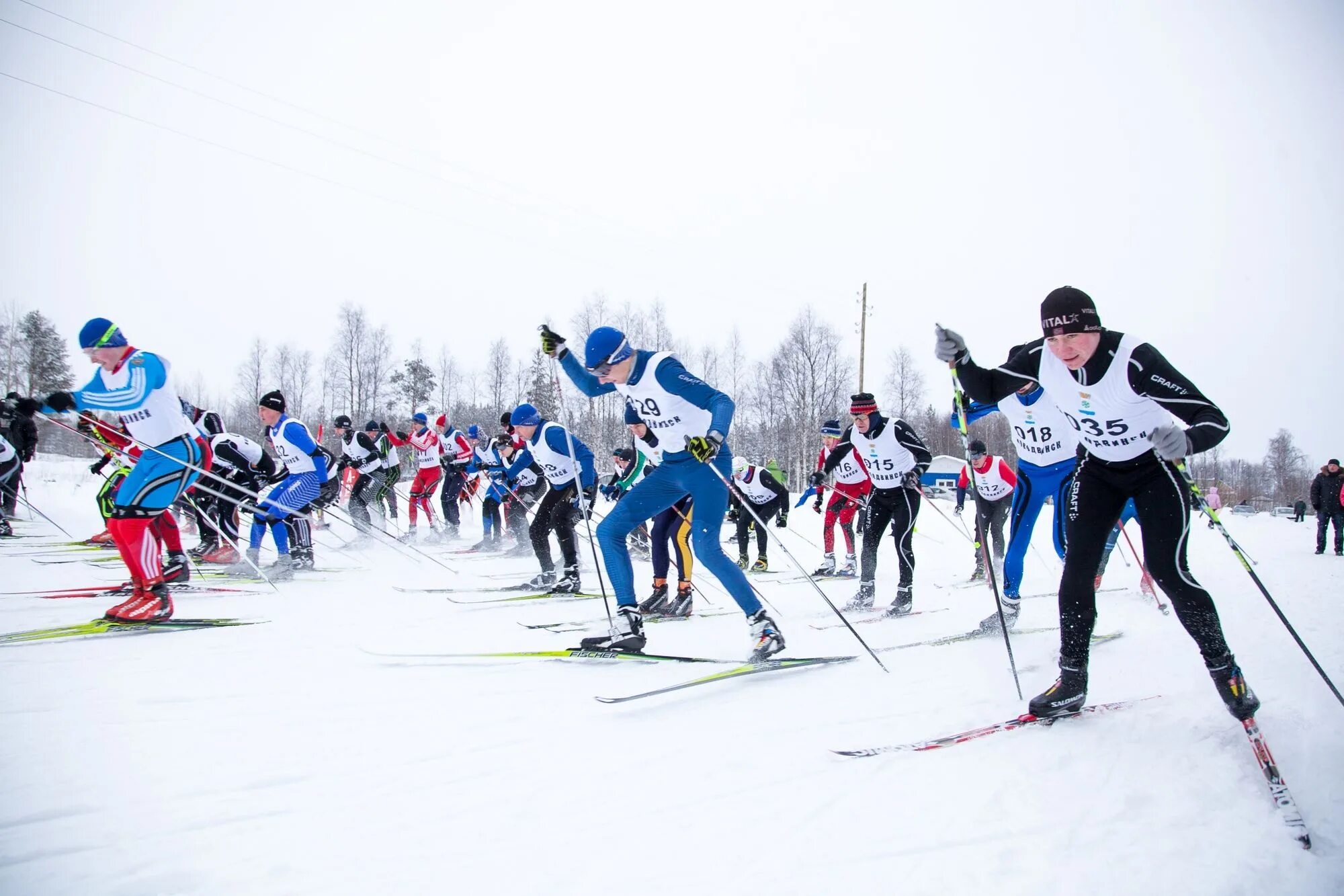 Лыжные гонки. Лыжная гонка. Лыжные гонки Россия. Лыжники толпа.
