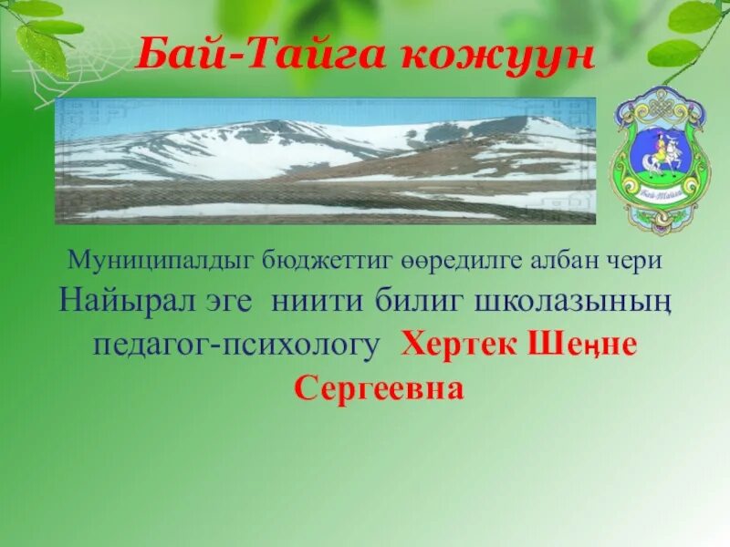 Бай-Тайга. Бай-Тайгинский кожуун. Бай-Тайга кожуун. Карта бай-Тайгинского кожууна.