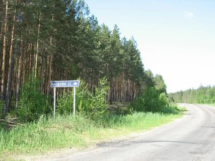 Погода старая торопа на 10