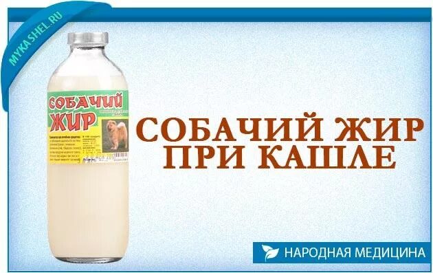 Как принимать собачий жир. Собачий жир. собачий жир лечебные. собачий жир для легких.