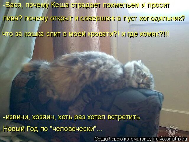 Хочется спать с бодуна. Маргадон в формуле любви. Почему открыт. Почему открыт. Почему открыт.