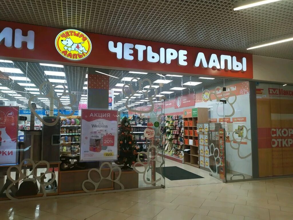 зоомагазин пойменная батайск. зоомагазин в костроме четыре лапы. четыре лапы ростов на дону. 4 лапы новокосино. четыре лапы, ростов-на-дону, проспект михаила нагибина, 32б.