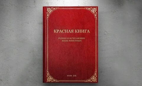 2 издание 2023