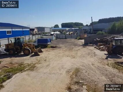 Молоково московская область революционная улица
