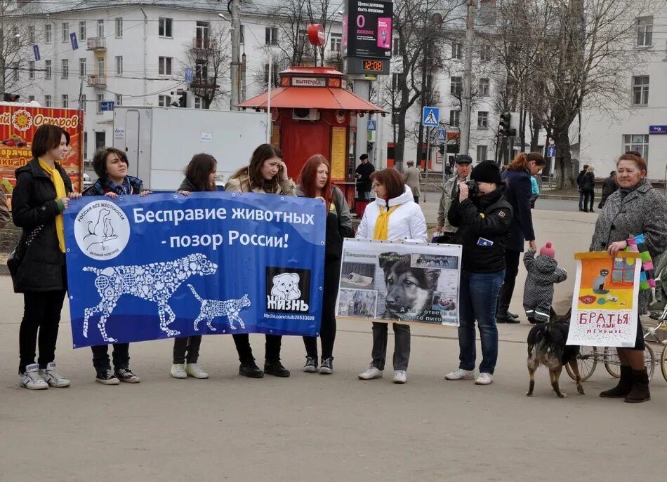 Позор России. Бесправие животных. Россия позорная Страна. Акция зоозащитников. Срам россия