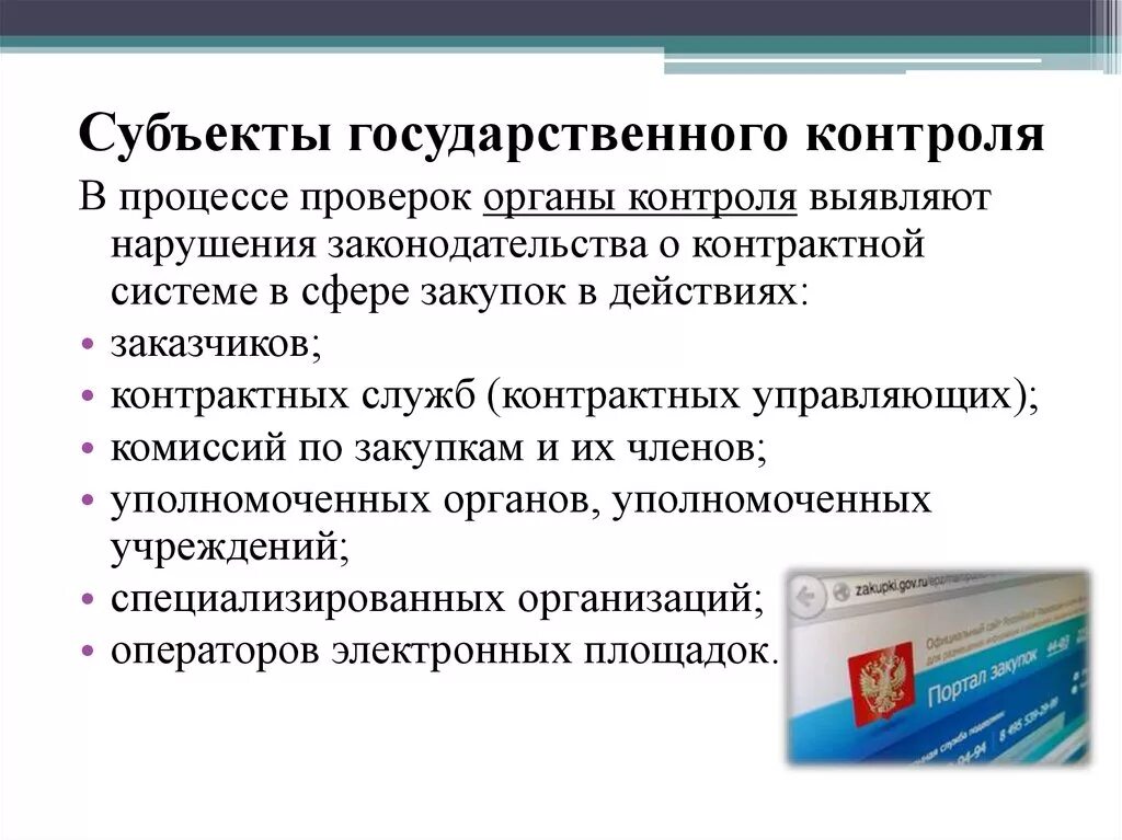 Субъекты осуществления государственного контроля