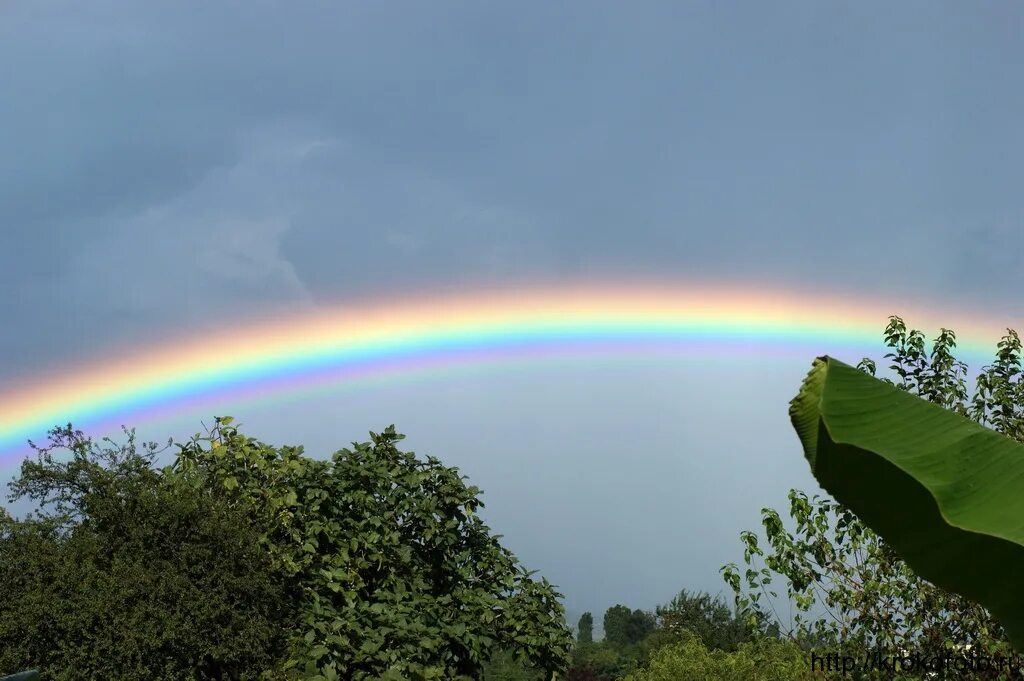 радужный друзья роблокc green. радужный друг грин. фотки зеленого радужного друга. радуга в природе. радуга.