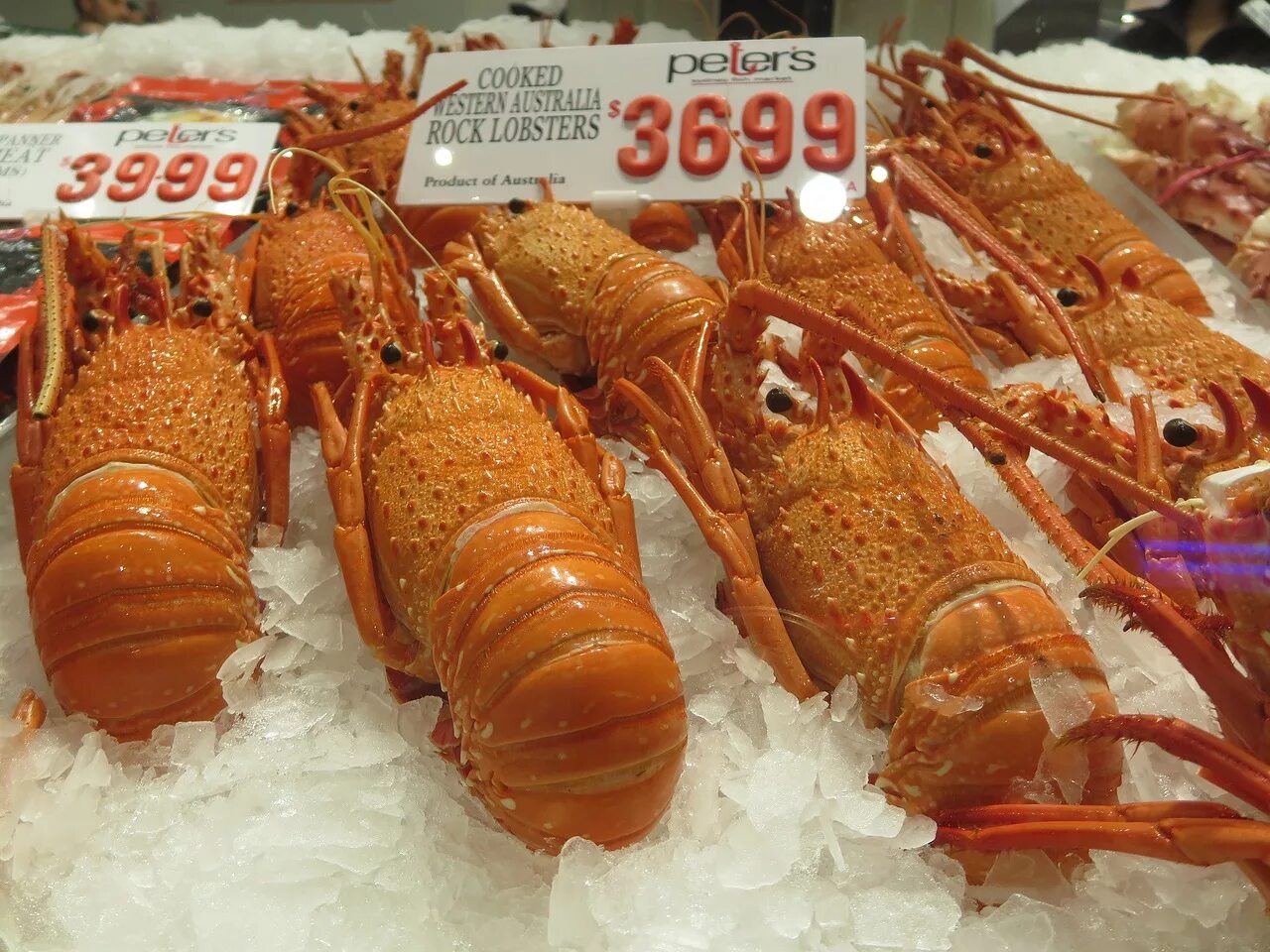 Rock lobster ресторан. Rock lobster. Rock lobster. Рок лобстер. Текстура лобстера.
