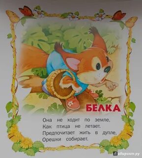 Белочка стихи