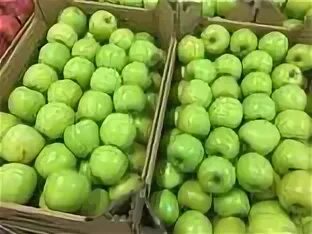 Apple poland