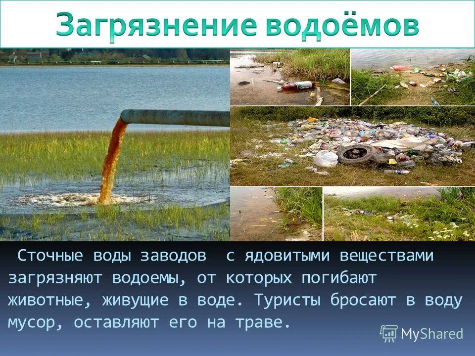 Сохранение водоема