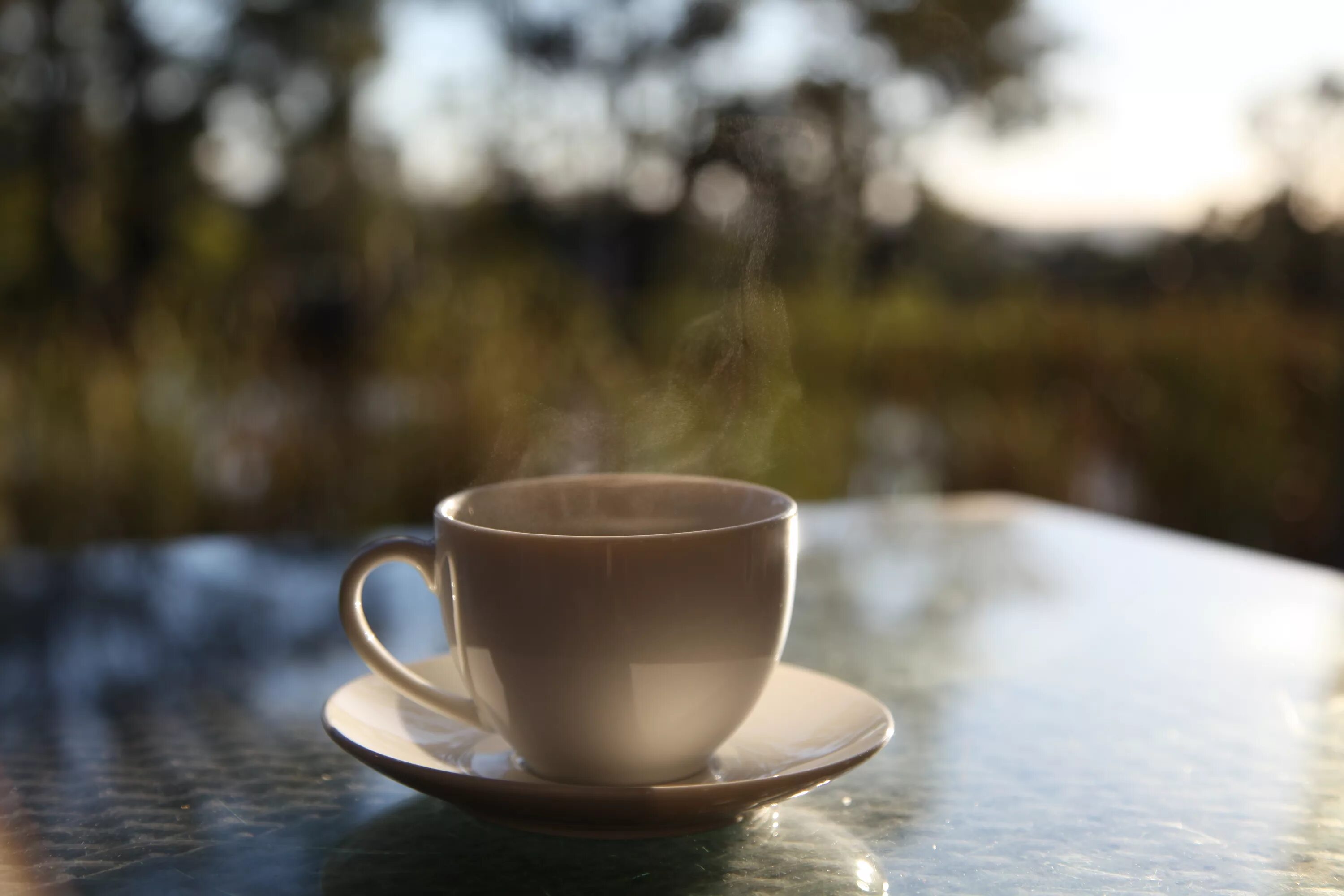 Утро ди. Чашка кофе с дымком. Кофе на природе. Кофе ранним утром. Белая Кружка на фоне гор.