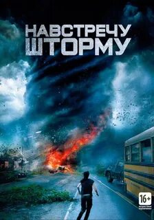 Into the storm