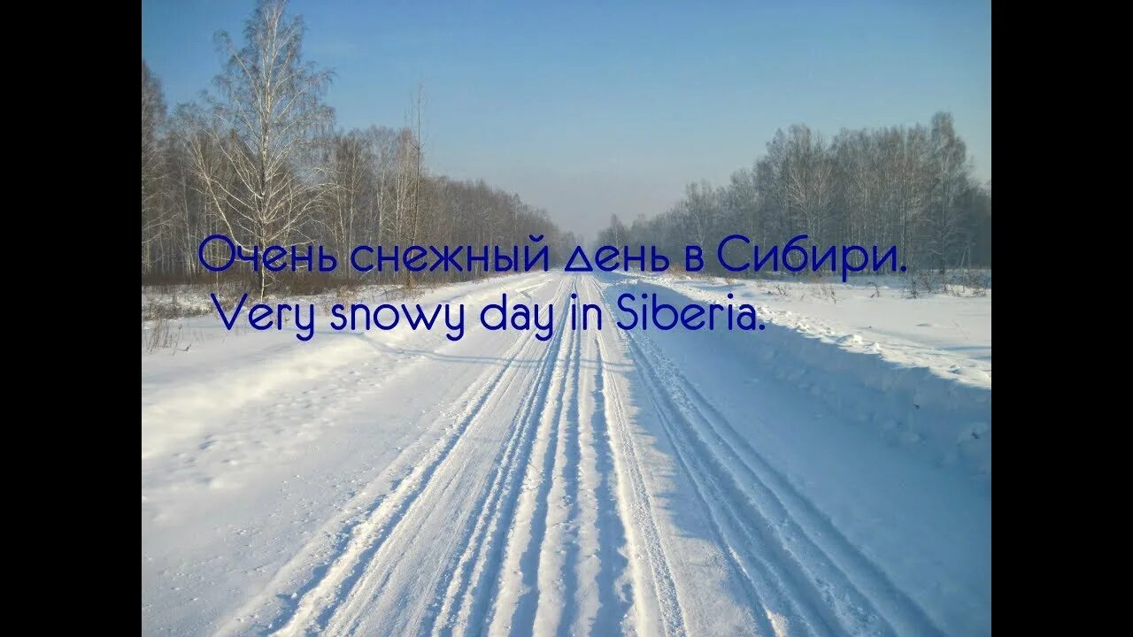 День сибири красноярск. День Сибири. День Сибири 8 ноября картинки. Поздравляем Сибирь. Сибирские сугробы.