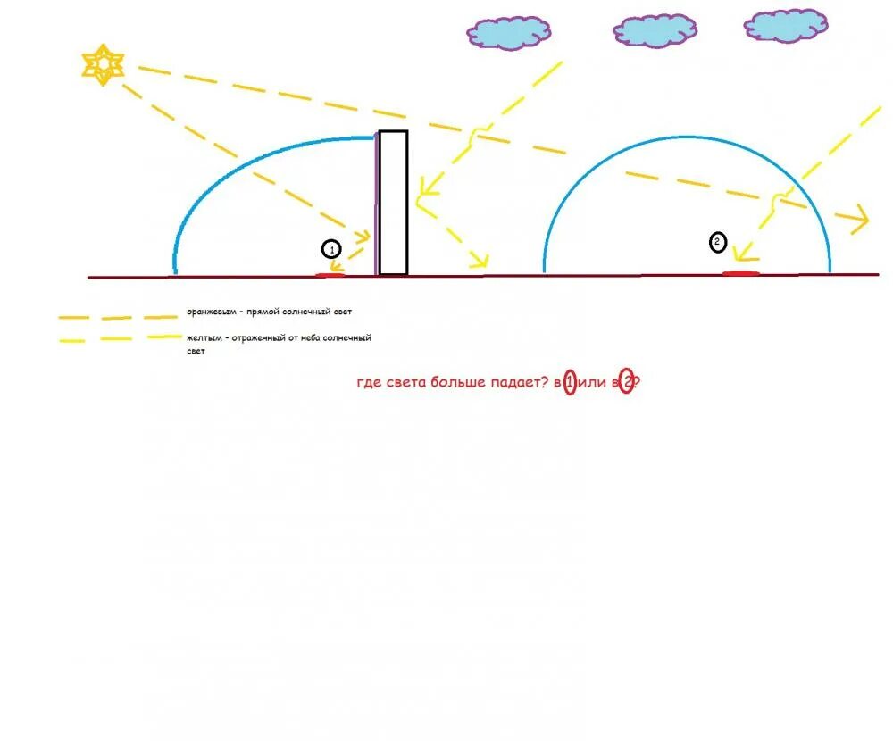 Как ставить теплицу относительно сторон света. Расположение теплице по сторонам света. Расположение теплицы на участке по сторонам. Схематичное расположение теплицы на участке. Оптимальное расположение теплицы по сторонам света.