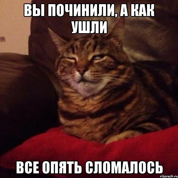 Не могу найти кота тут слишком темно