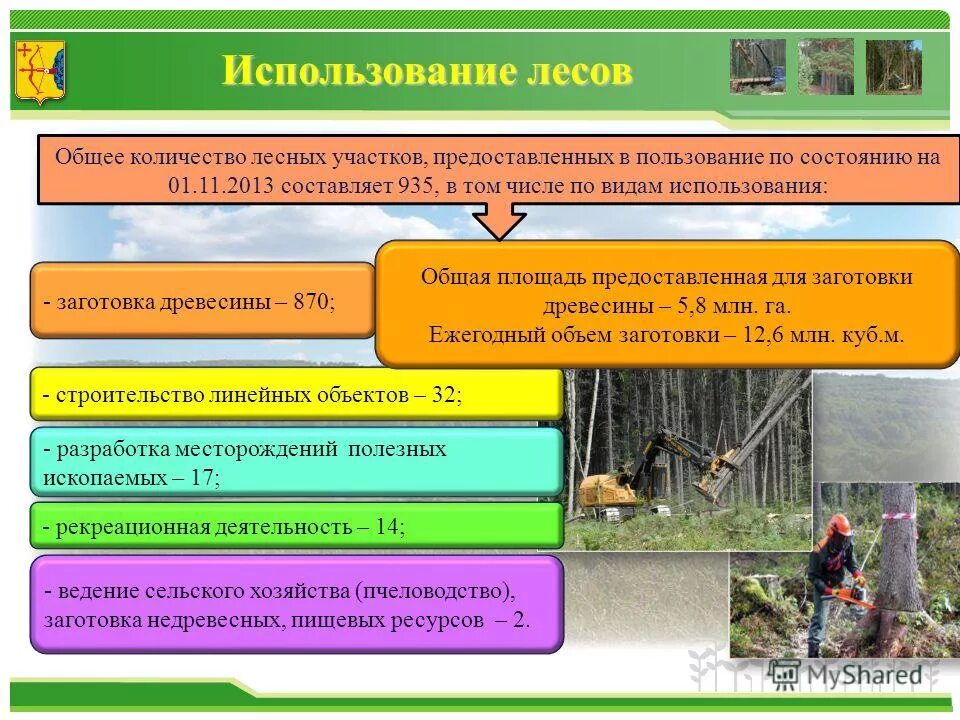 Предоставление в пользование лесных участков