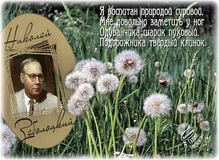 Заболоцкий природа