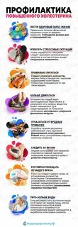Большой холестерин причины