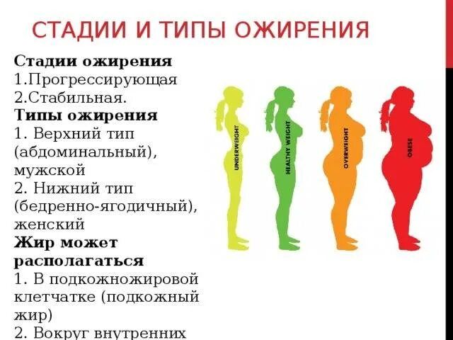 Какие бывают ожирения. Алиментарное ожирение 1 степени абдоминальный Тип. Типы ожирения у мужчин. Типы ожирения у женщин. Мужской и женский Тип ожирения.