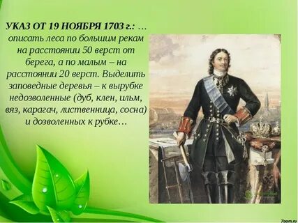 Лес петра 1