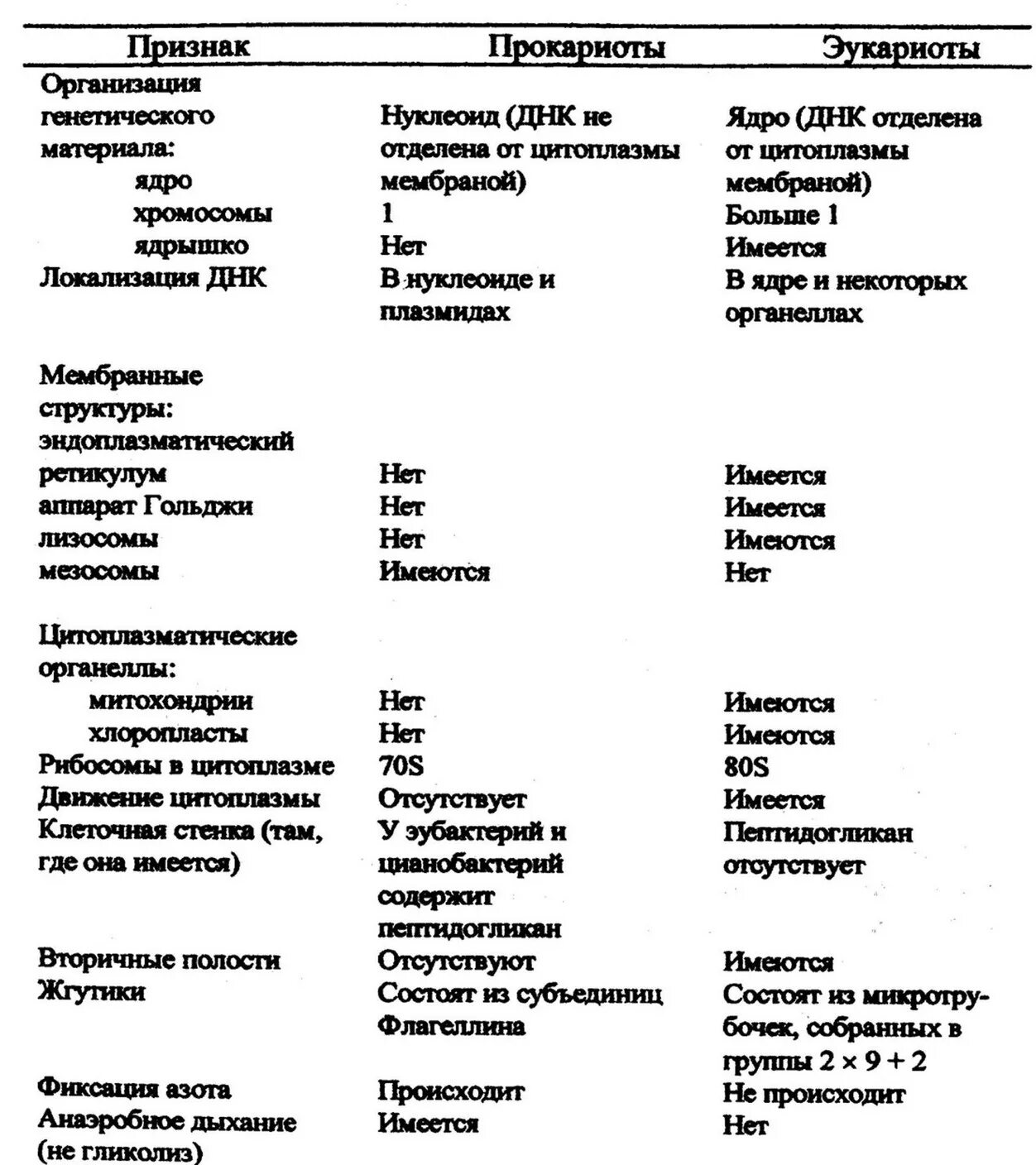 Установите соответствие признаков прокариот и эукариот. Классификация прокариот и эукариот. классификация прокариот таблица. характеристика прокариот и эукариот. классификация прокариот по форме.