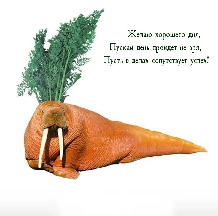 Приколы по типу