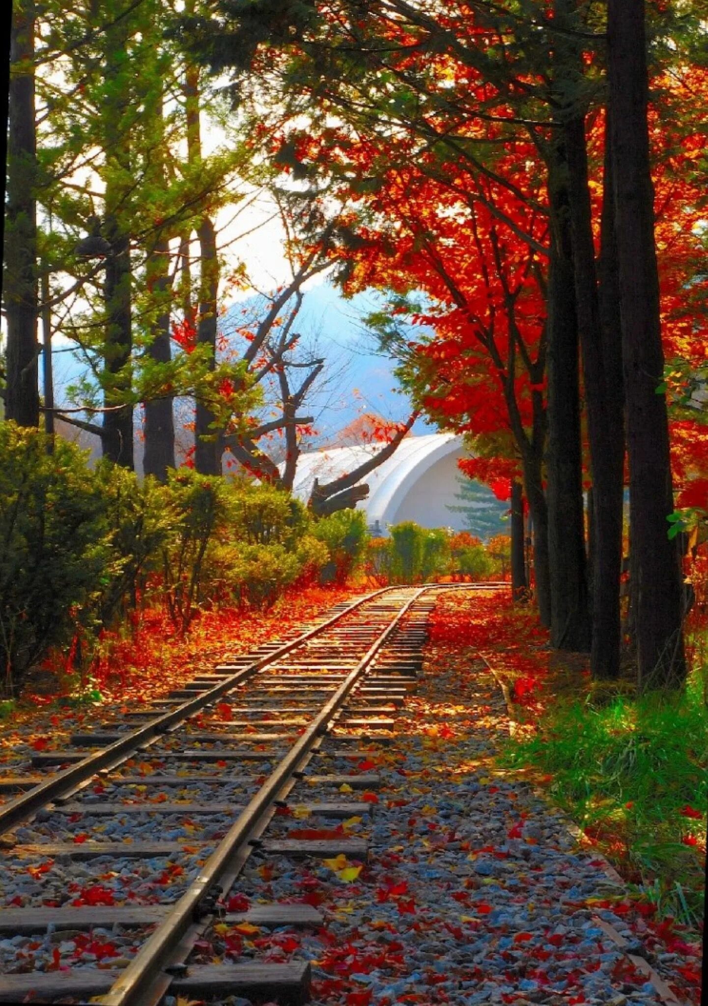 Pin by Reint van Dijken on Autumn trains/locomotive Scenic railroads, Scenic, Fa