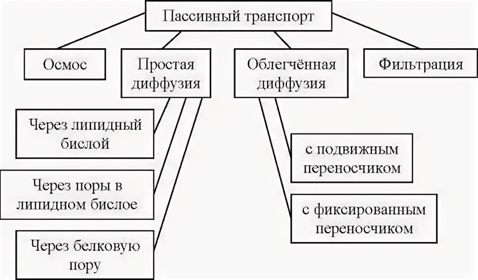 Типы пассивных систем