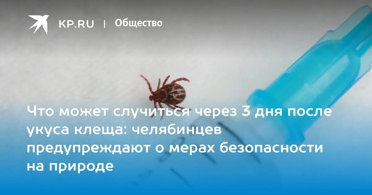 Где клещи в городе. Где клещи в городе