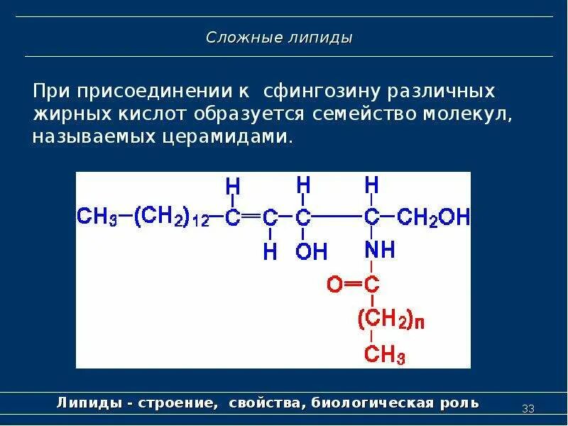 Связи липидов. Липиды классификация и функции. Строение простых липидов. Структура сложных липидов. Реакции присоединения липидов.