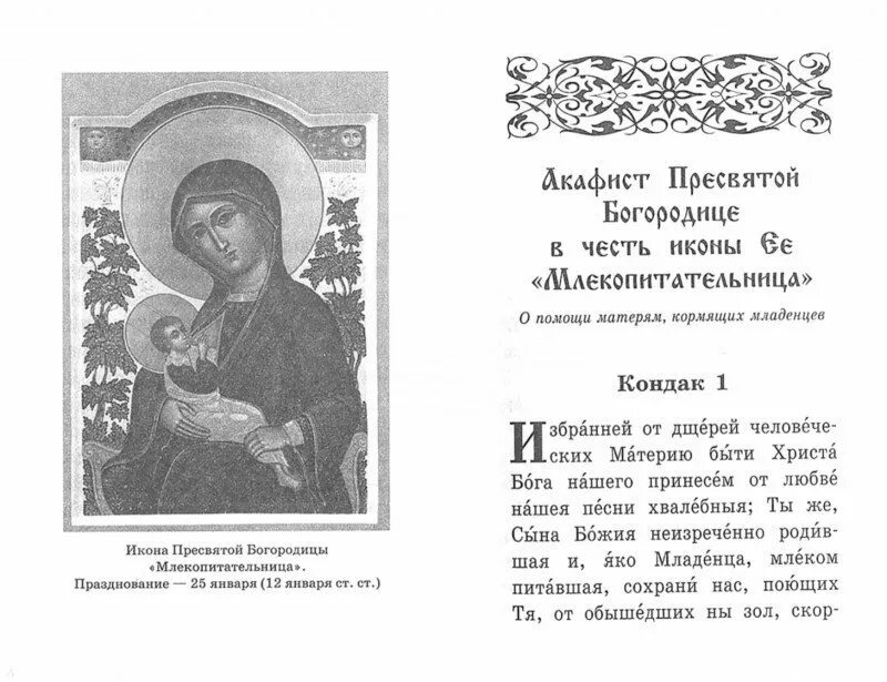 Сколько читать акафист. Молитва Пресвятой Богородице Млекопитательница. Тихвинская икона Богородицы молитва. Млекопитательница икона Божией матери молитва. Молитва Божьей матери Млекопитательница.