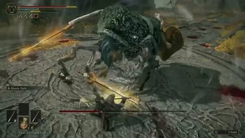 Grafted scion