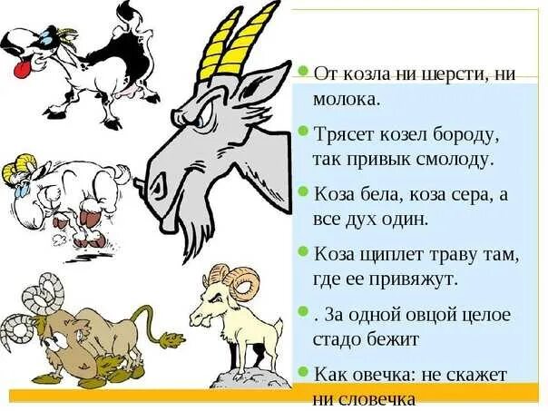 Пусти козу в огород пословица. Скороговорки про животных для детей. Скороговорки о животных для дошкольников. Пословицы и поговорки про сахар. Поговорки козу.