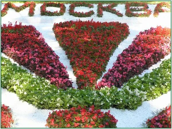 Екатерининский парк цветники. Вертикальные клумбы. Клумба буква. Надпись цветами на клумбе. Клумба в виде флага.