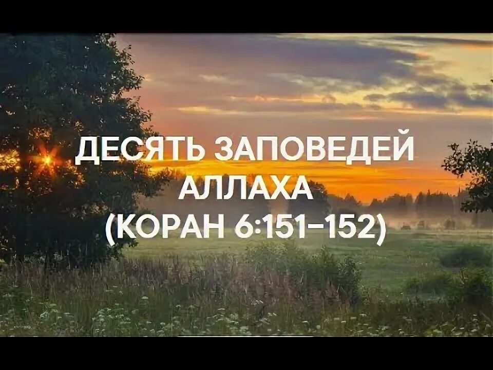 10 заповедей корана. Заповеди ислама. Заповеди корана. 10 заповедей корана. Коран заповеди ислама.