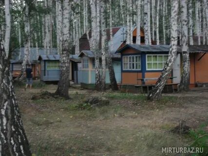 Зори увильды