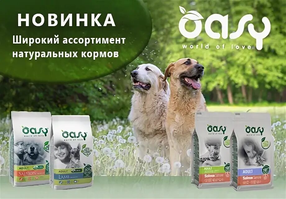 Макеты заводов и фабрик. Макет завода. Дистрибьюторы кормов для животных. Sirius корм для кошек и собак. Фест мейт корм для кошек.