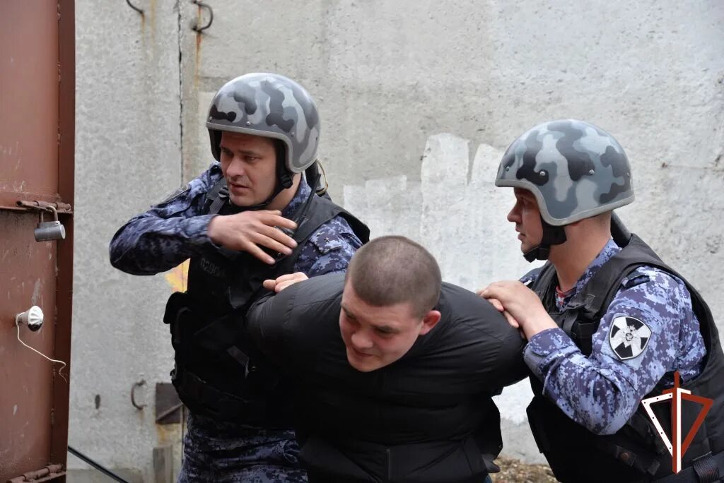 Группа охраны. Задержание охраной. Группа задержания ВНГ. Охранные войска.