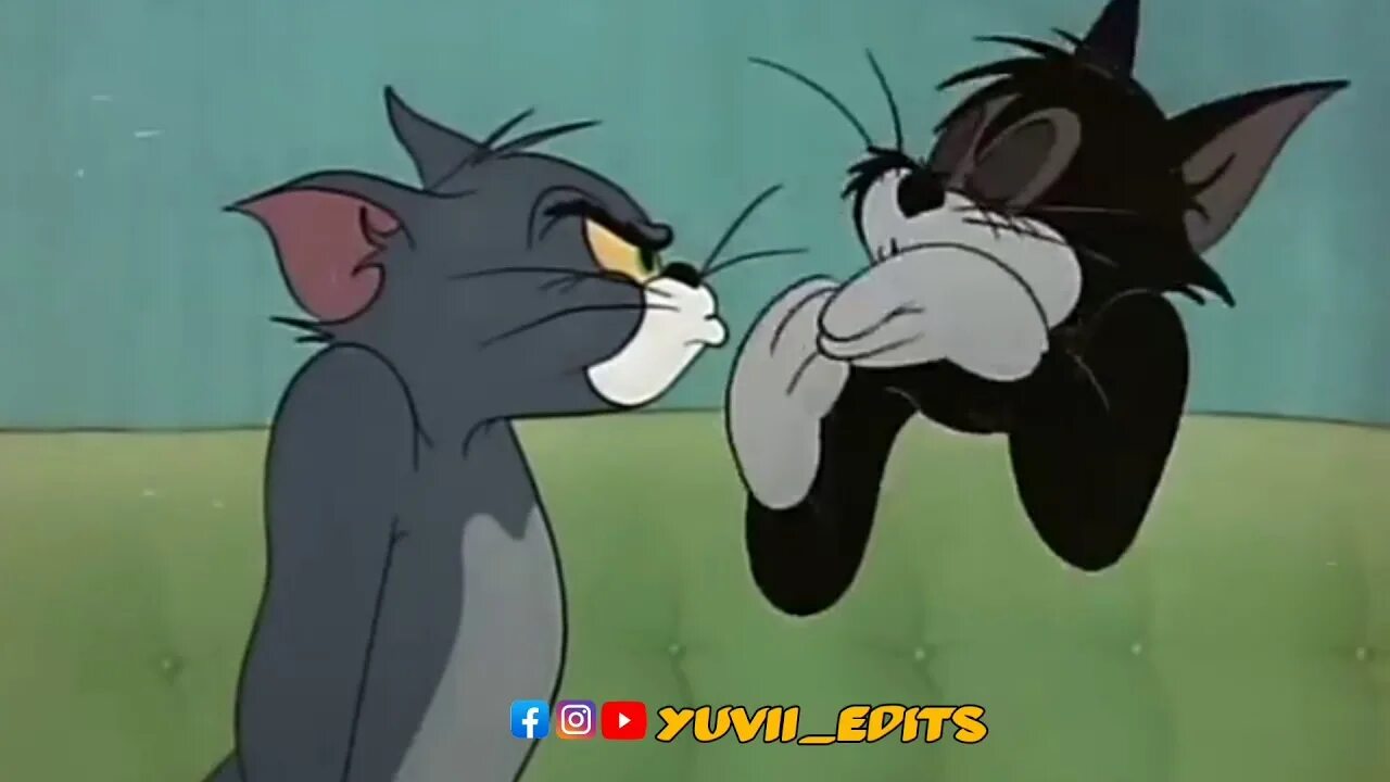 Том и джерри на чеченском. Цуци муци. мультфильм том и джерри на чеченском языке. мультики на чеченском языке. ц1уц1и муц1и.