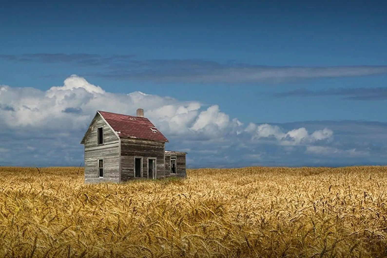 Main fields. Фермерский домик. Дом в пшеничном поле. Пшеничное поле с домиком. Фермерский дом в поле.