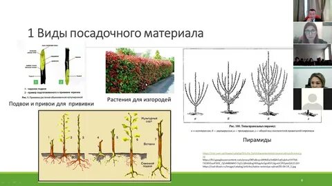 Виды посадочного