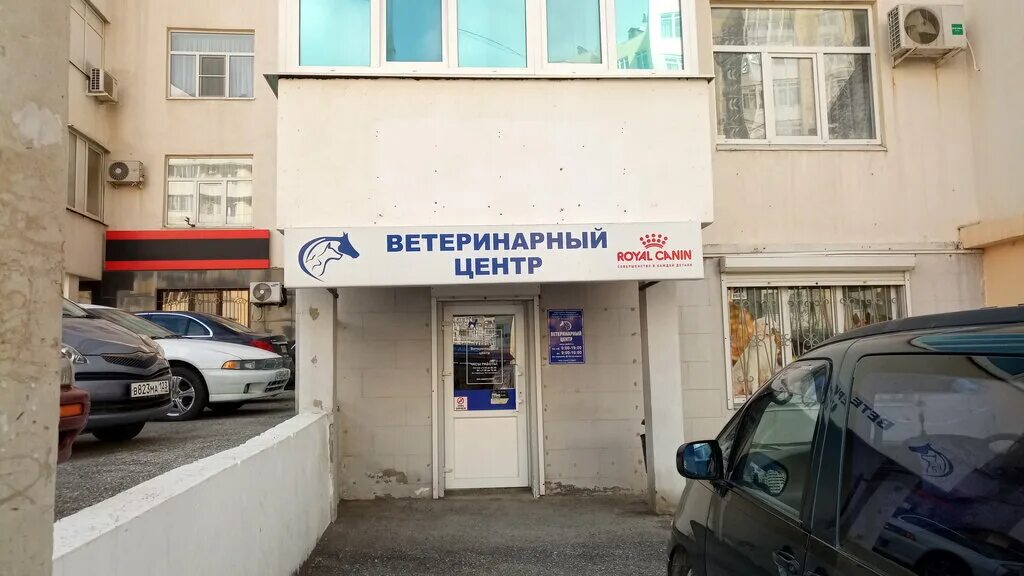 ветеринарная клиника рядом со мной. умка ветклиника калуга московская 288. айвет ветклиника в марьино. умка балаково ветеринарная клиника. ветеринарная клиника жизнь ульяновск камышинская 41.