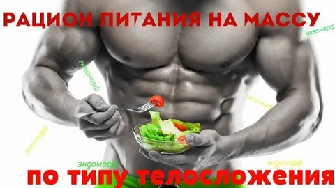 Типы тела питание