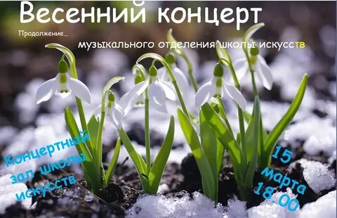 В какое время растут подснежники
