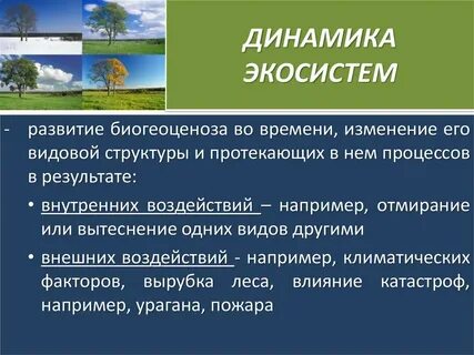 Биологическая роль сукцессии